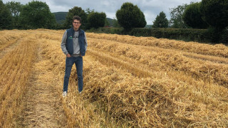 Farmstay – Englisch lernen auf einer Farm Bild